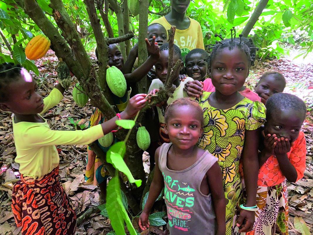 Bimbi sorridenti attorno ad una pianta di cacao